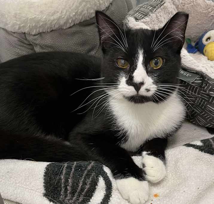 Photo of Tucker