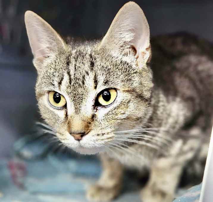 Photo of Tabitha