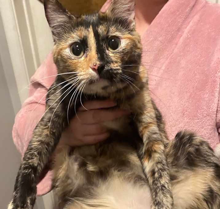Photo of Possum Blossom