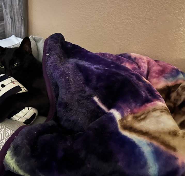 Photo of Zipper "Midnight" 4274
