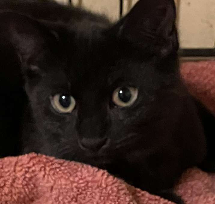 Photo of Bobbi