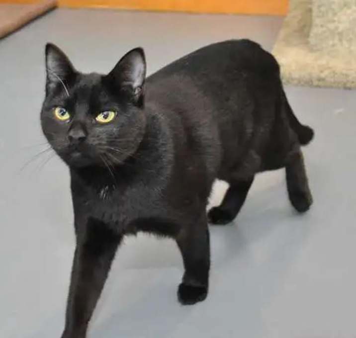 Photo of Eros