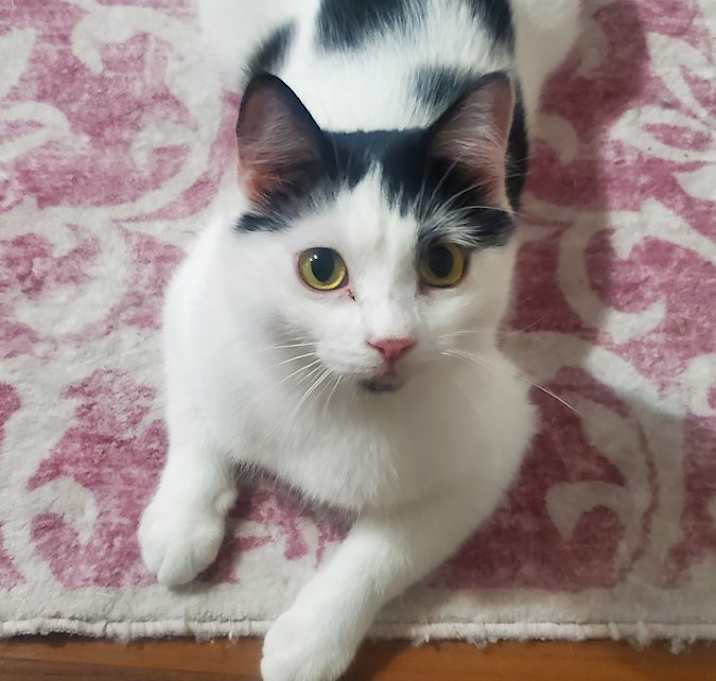 Photo of Lealah