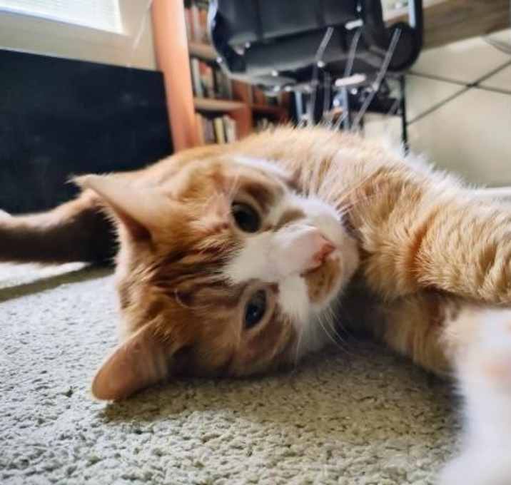 Photo of Rupert