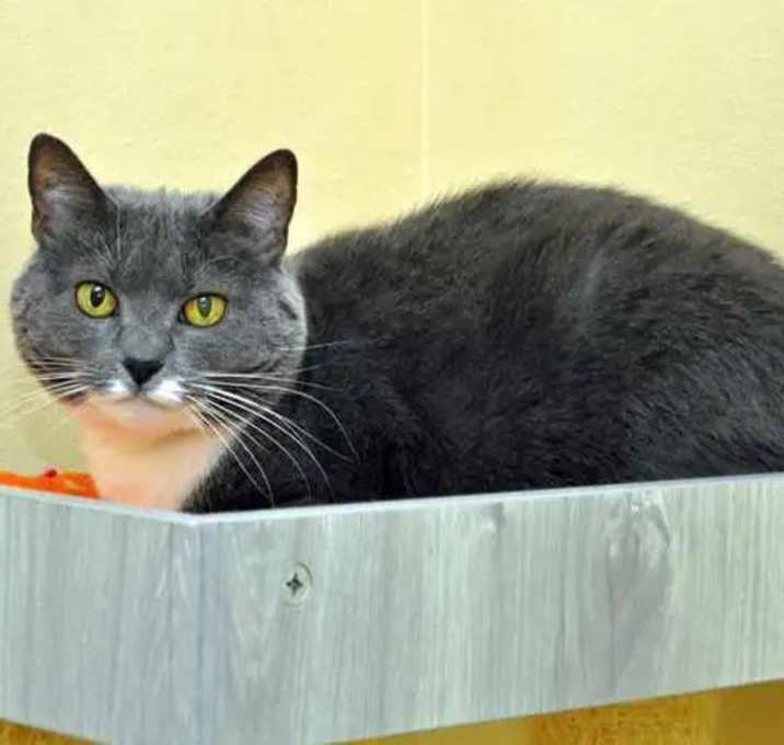 Photo of Luna