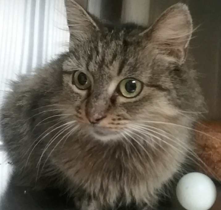 Photo of PRINCESS
