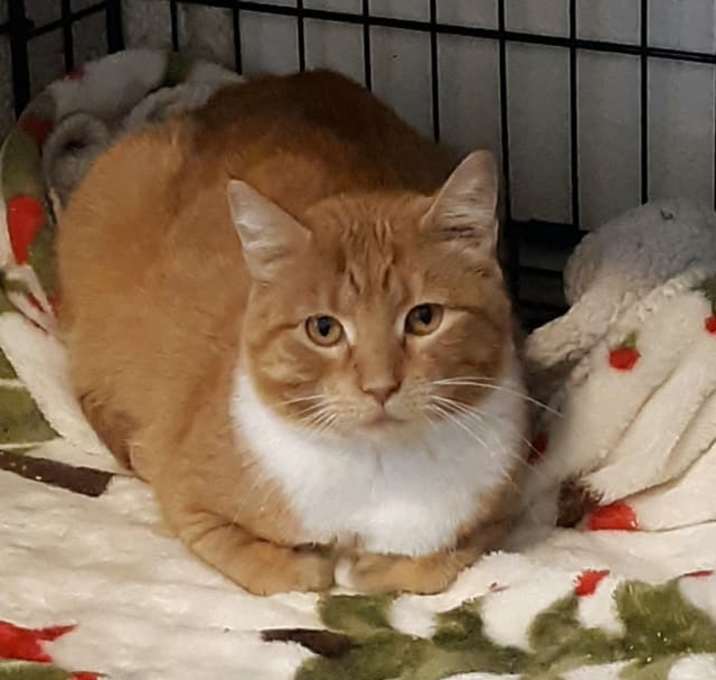 Photo of Peaches R.