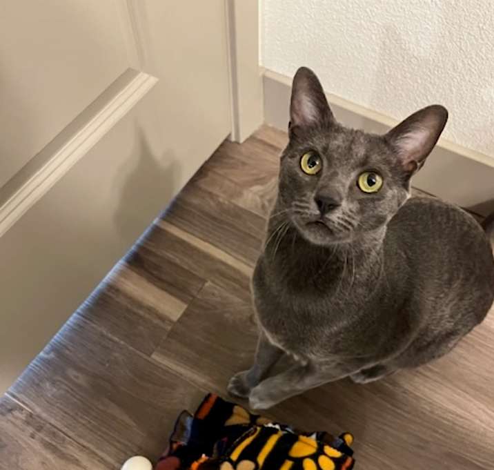 Photo of Momo