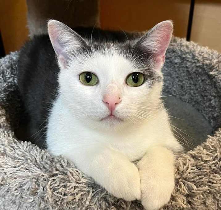 Photo of Happy