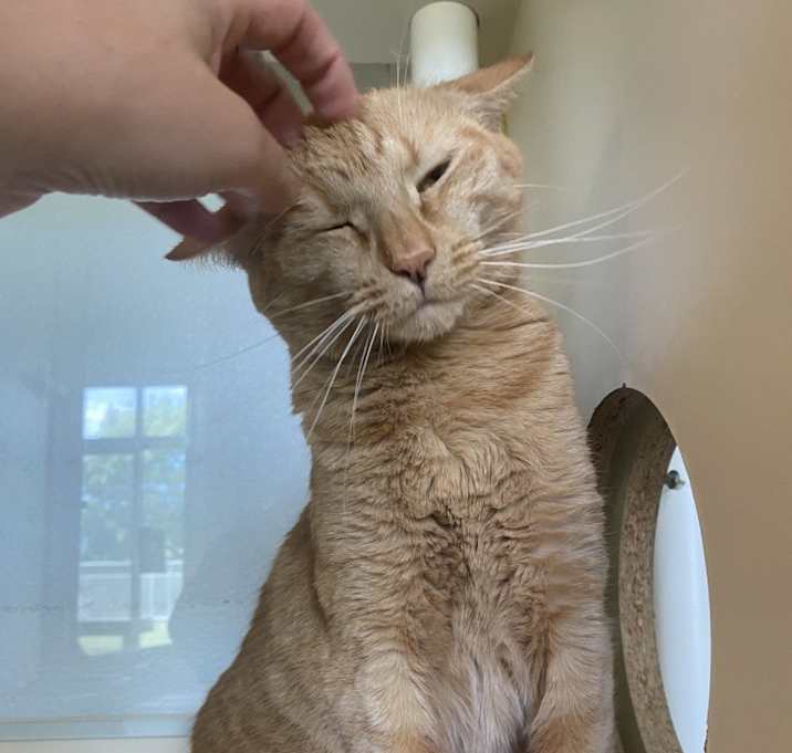 Photo of Wink