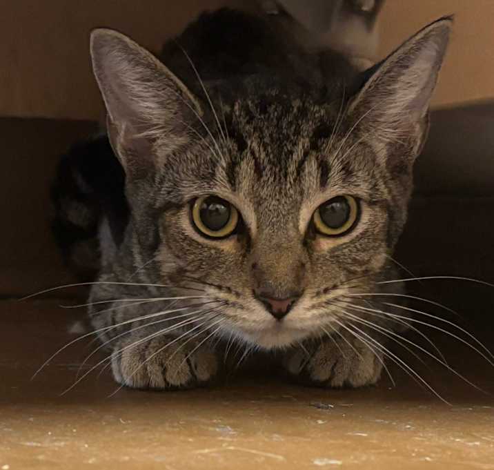Photo of Frances