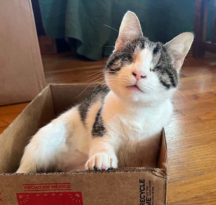Photo of Peekaboo