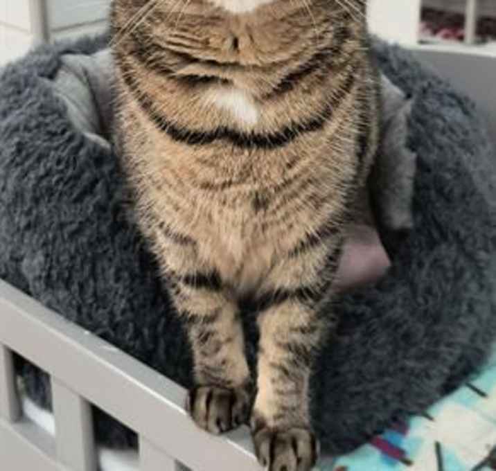 Photo of ANALA
