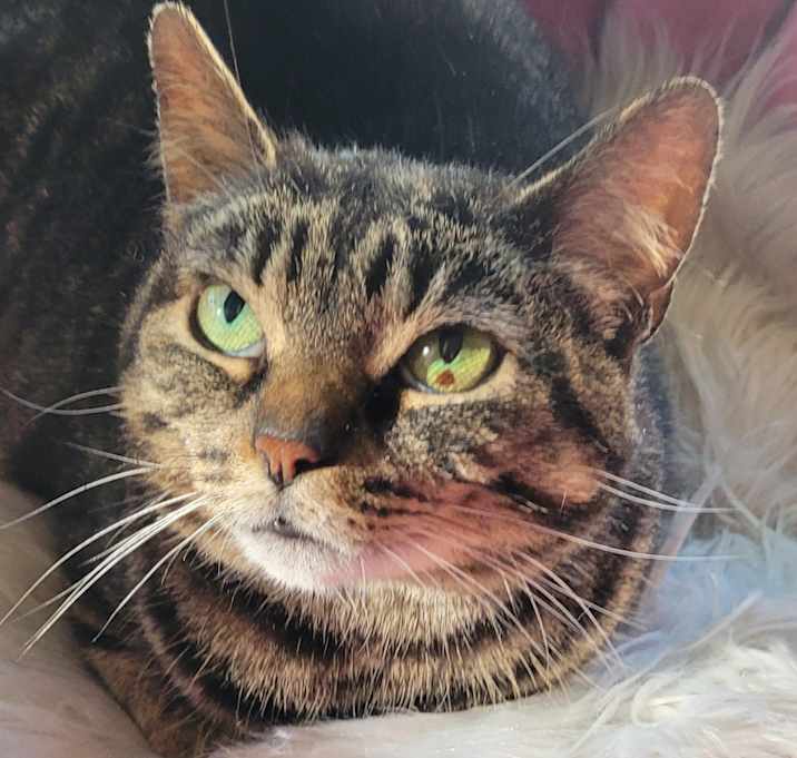 Photo of Betty