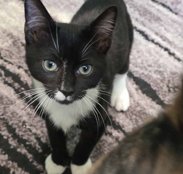 Photo of Larry