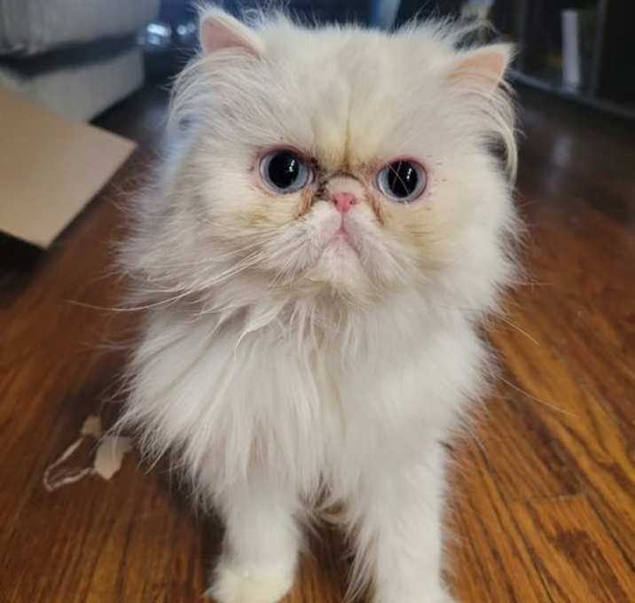 Photo of Hermione
