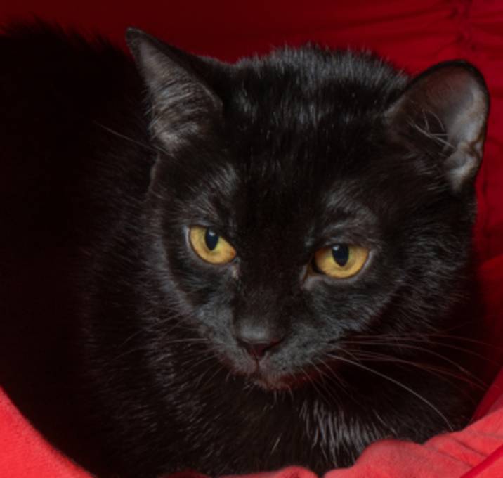 Photo of Gabby