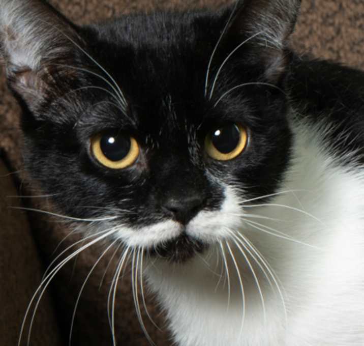 Photo of Celia