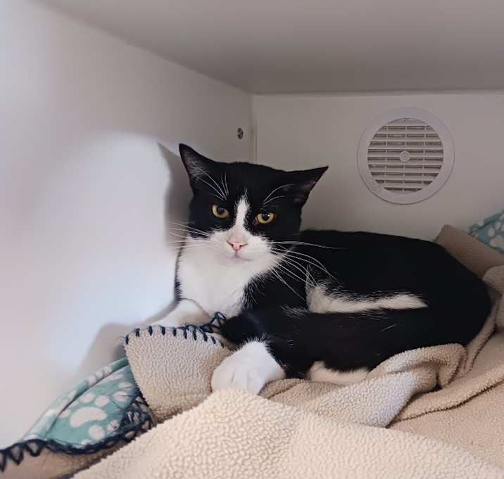 Photo of Rocket