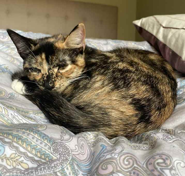 Photo of JuJu