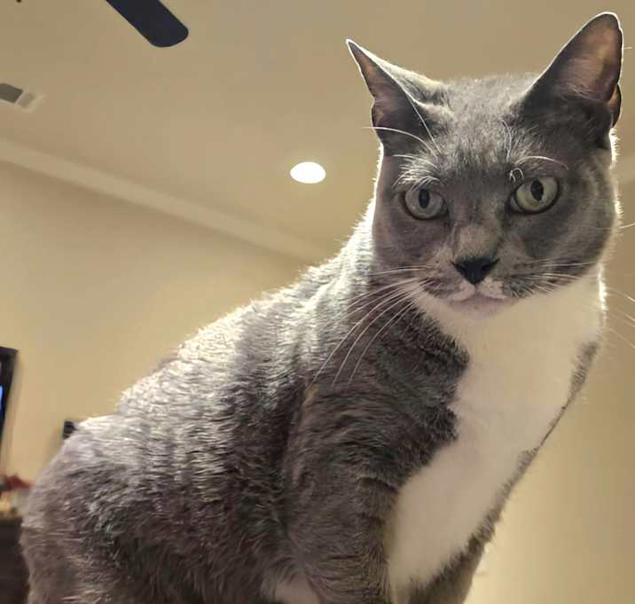 Photo of Cindy