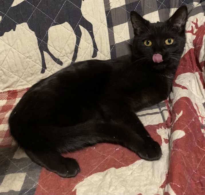 Photo of Salem