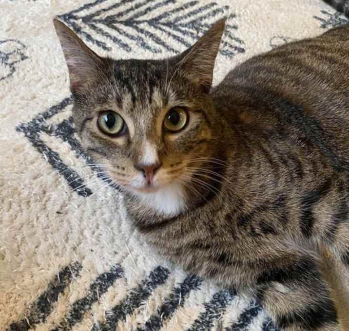 Photo of Frito