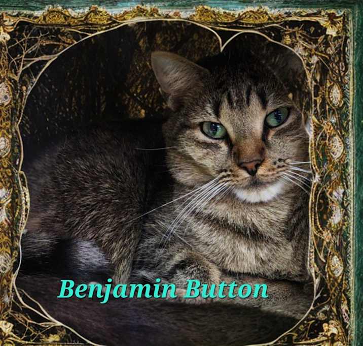 Photo of Benjamin Button