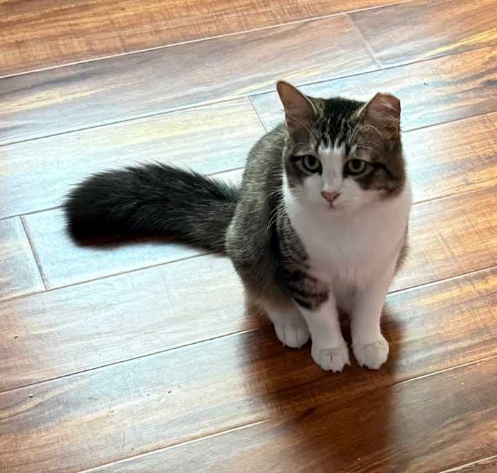 Photo of Sam I Am