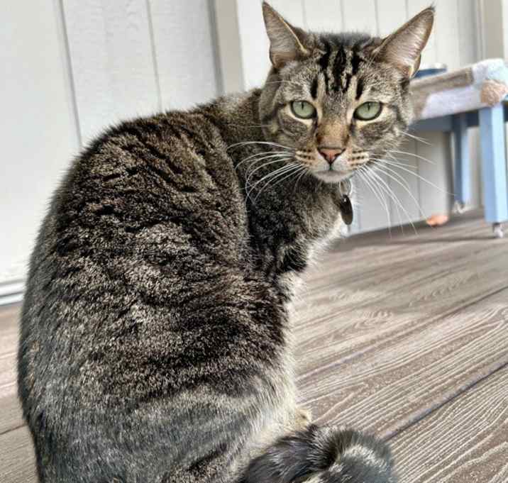 Photo of Melvin