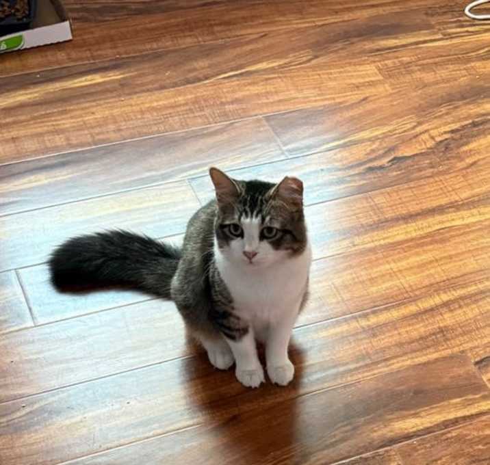 Photo of Sam I Am