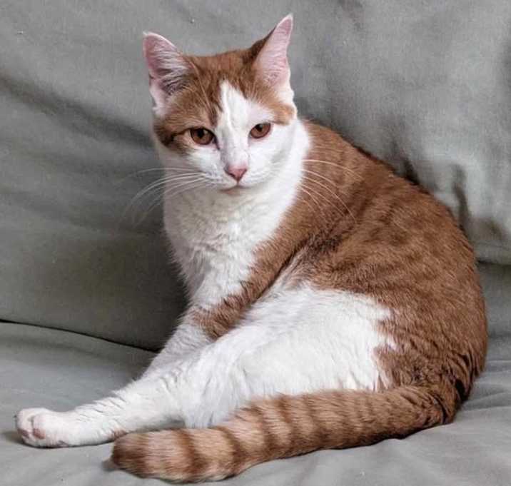 Photo of Gretchen