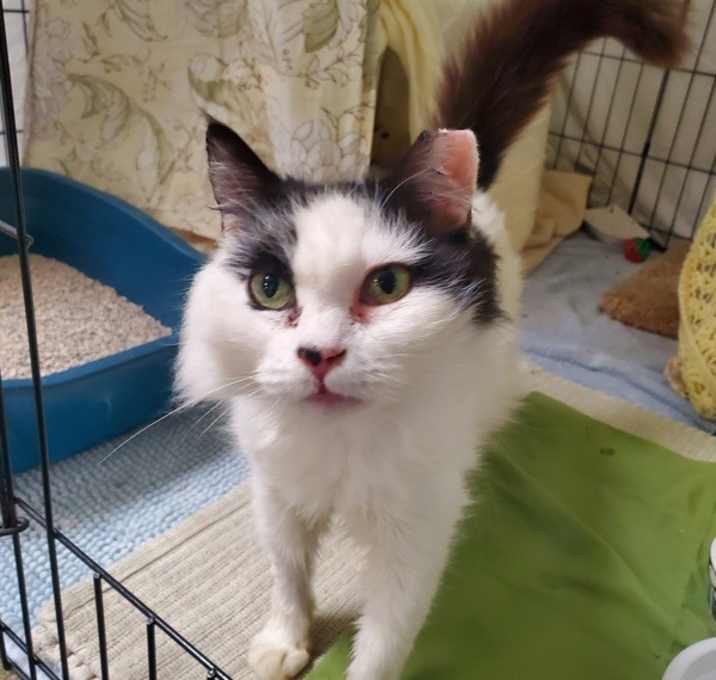 Photo of Squeek