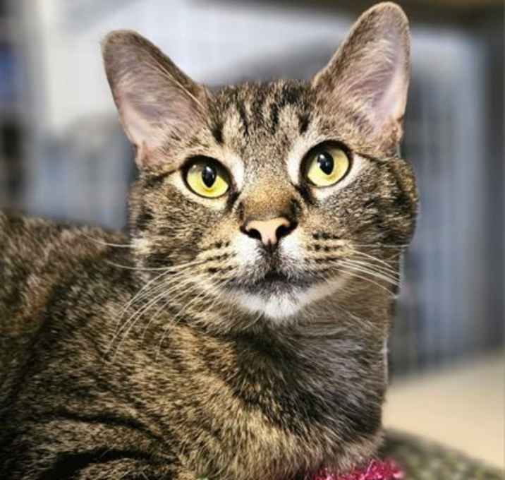 Photo of Charlie