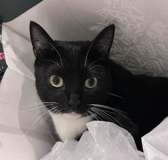 Photo of Kiki