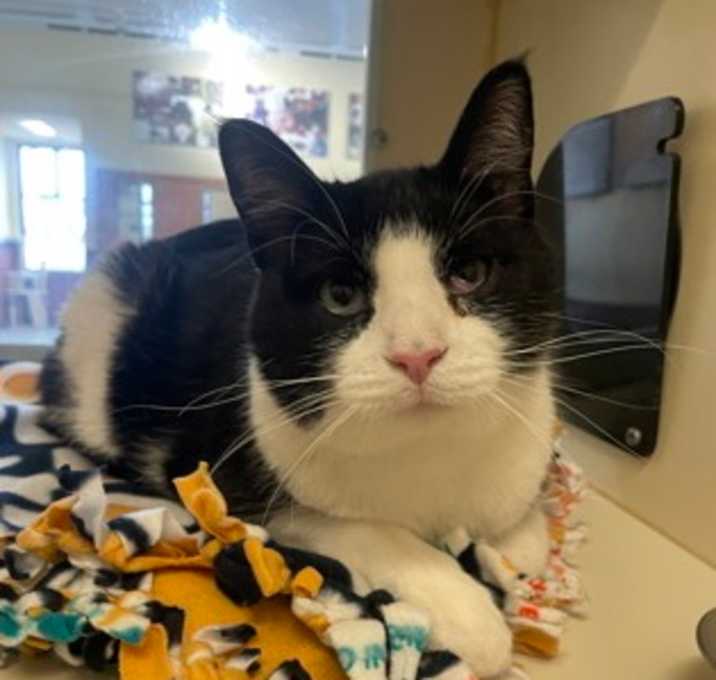 Photo of Petey