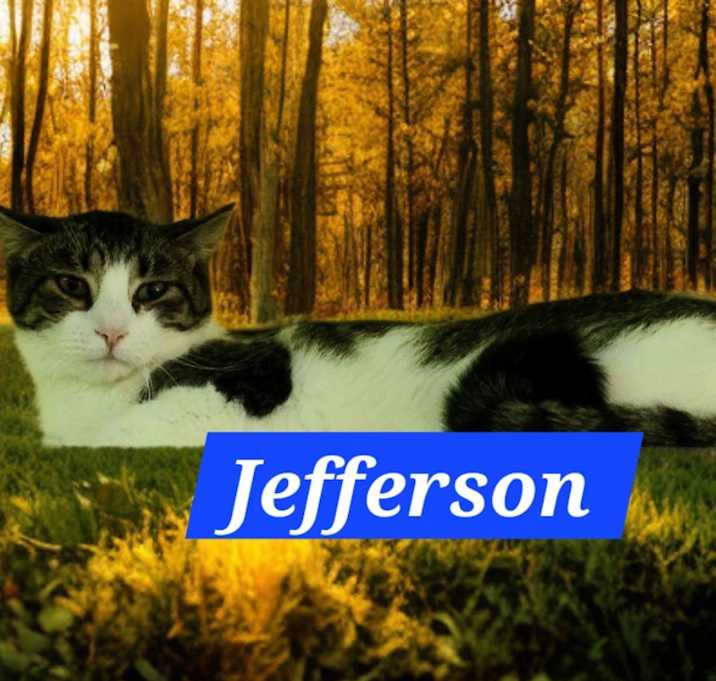 Photo of Jefferson