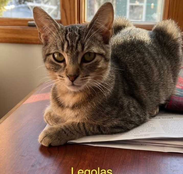 Photo of Legalas