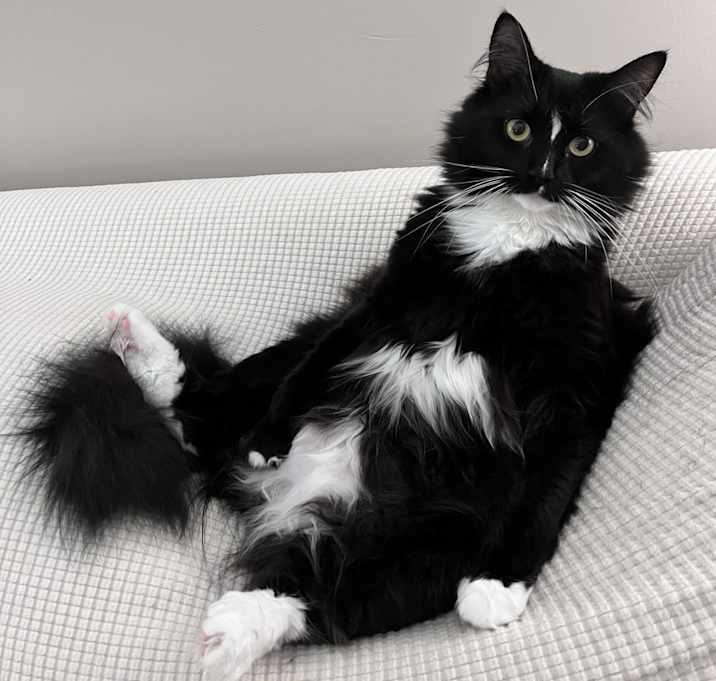 Photo of Whiskey