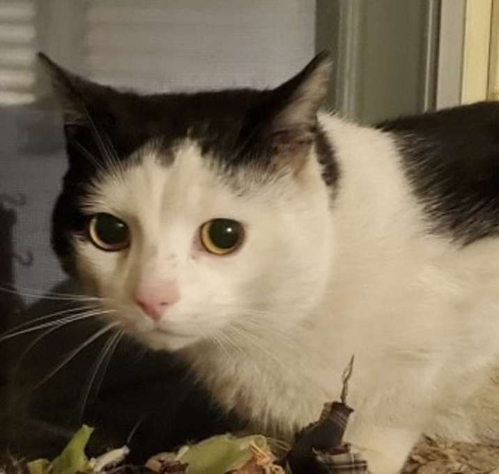 Photo of Bubba