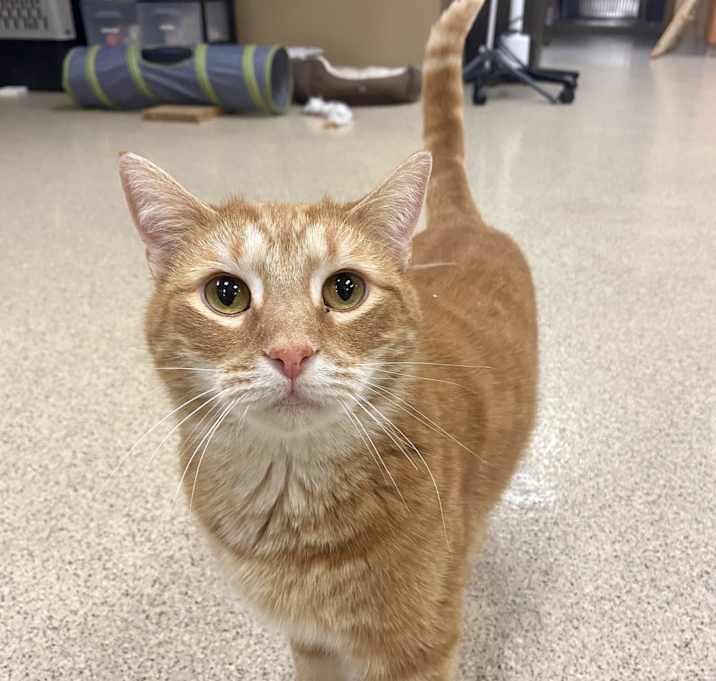 Photo of Simon