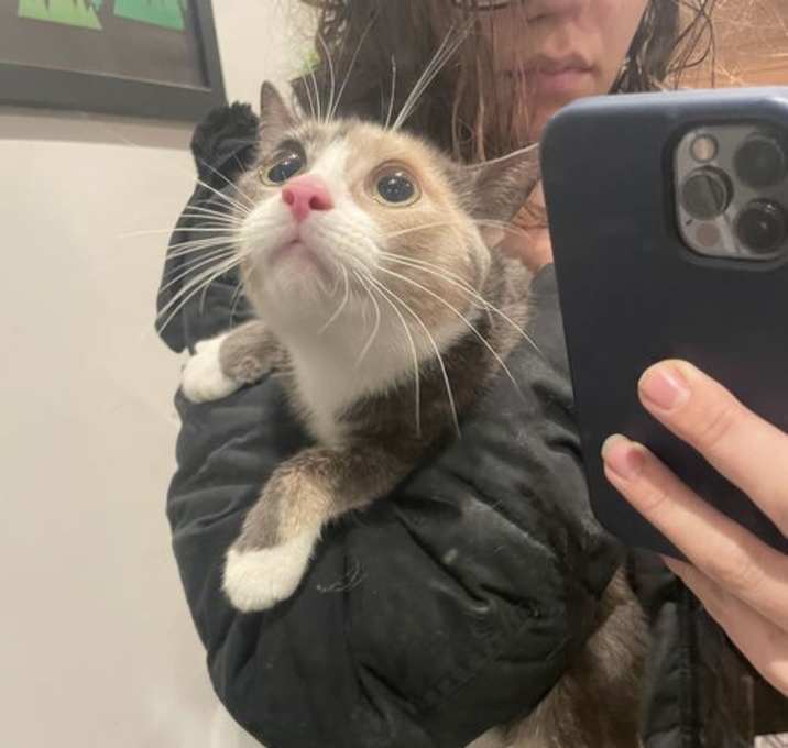 Photo of Shelly