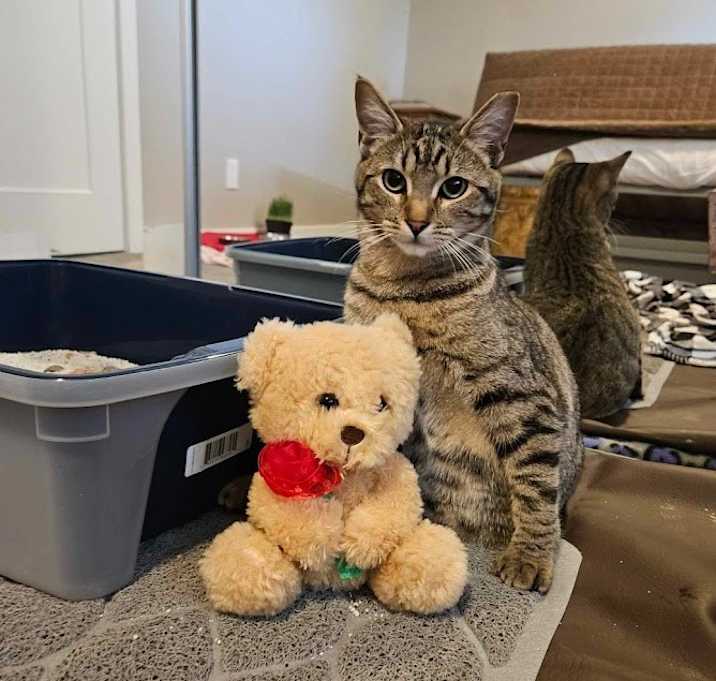 Photo of Little T