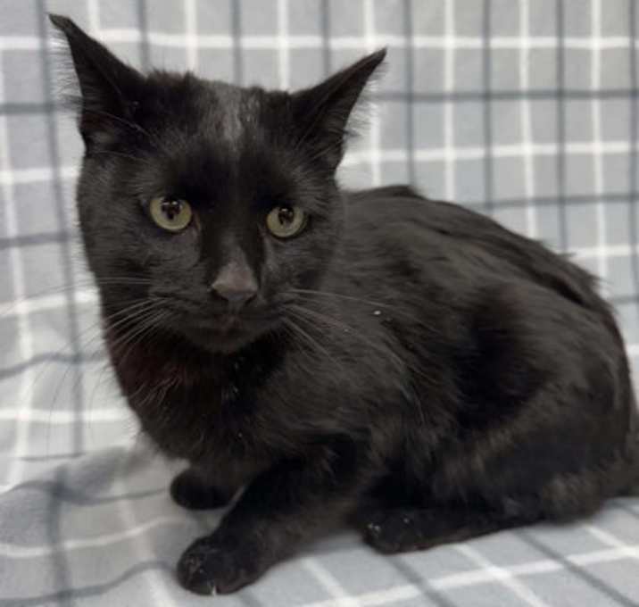 Photo of Felix