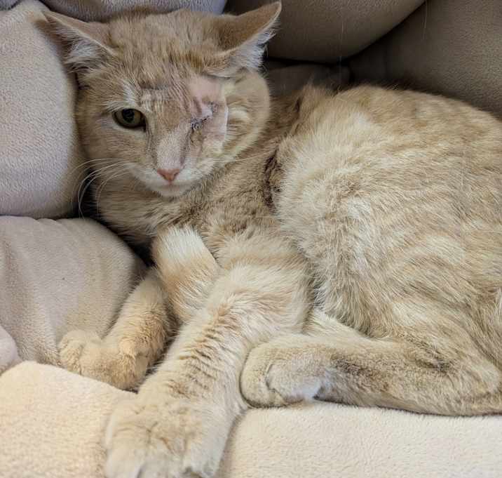 Photo of Captain Jack