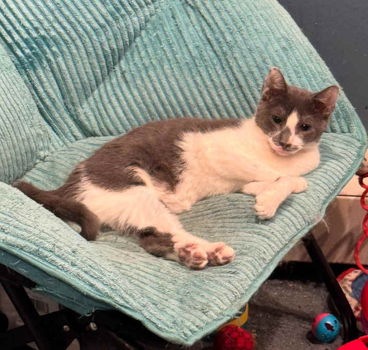 Photo of Desmond