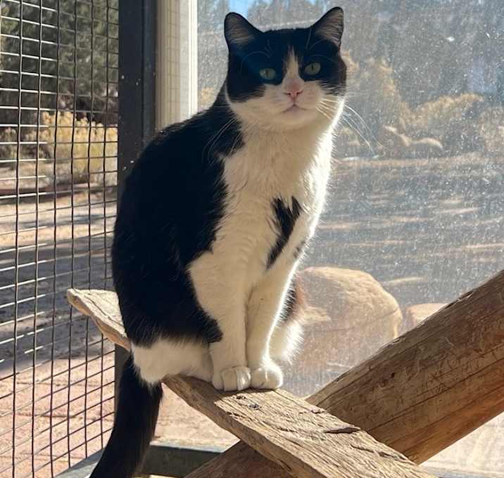 Photo of Zoe