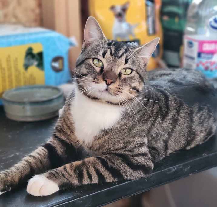 Photo of Ben