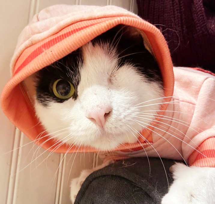 Photo of Jackie