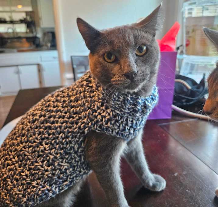Photo of Mr. Tumnus